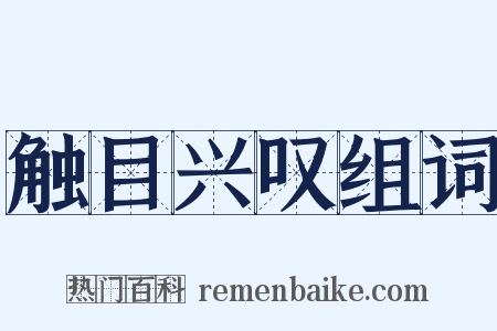 触目兴叹组词是什么意思的图片